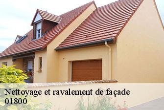 Nettoyage et ravalement de façade  meximieux-01800 Renov Pro 01