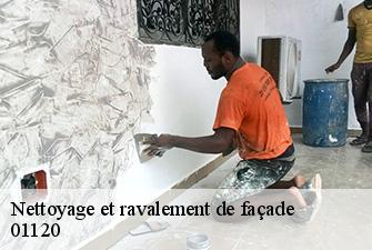 Nettoyage et ravalement de façade  montluel-01120 Renov Pro 01