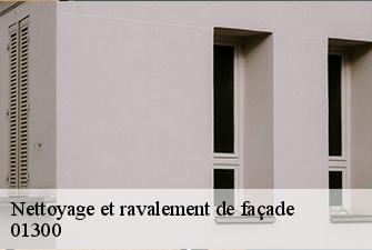 Nettoyage et ravalement de façade  murs-et-gelignieux-01300 Beaudier Couverture 