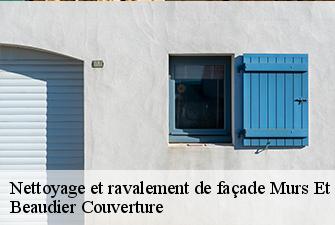 Nettoyage et ravalement de façade  murs-et-gelignieux-01300 Beaudier Couverture 