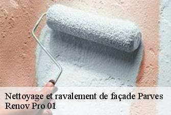 Nettoyage et ravalement de façade  parves-01300 Renov Pro 01