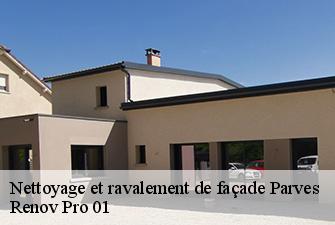 Nettoyage et ravalement de façade  parves-01300 Renov Pro 01