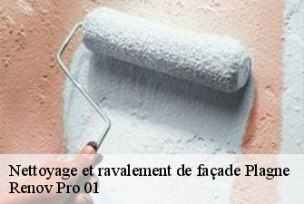 Nettoyage et ravalement de façade  plagne-01130 Renov Pro 01