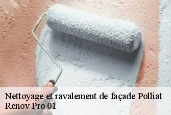 Nettoyage et ravalement de façade  polliat-01310 Renov Pro 01