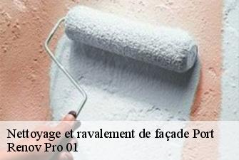Nettoyage et ravalement de façade  port-01460 Renov Pro 01