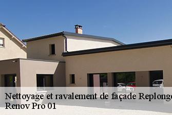 Nettoyage et ravalement de façade  replonges-01620 Renov Pro 01