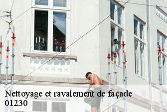 Nettoyage et ravalement de façade  saint-rambert-en-bugey-01230 Kenji Lagrenee Couverture