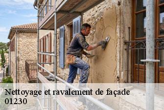 Nettoyage et ravalement de façade  saint-rambert-en-bugey-01230 Kenji Lagrenee Couverture