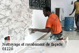 Nettoyage et ravalement de façade  sauverny-01220 Renov Pro 01
