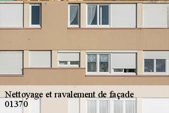 Nettoyage et ravalement de façade  treffort-cuisiat-01370 Beaudier Couverture 