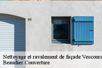 Nettoyage et ravalement de façade  vescours-01560 Beaudier Couverture 