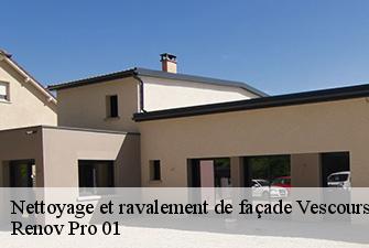 Nettoyage et ravalement de façade  vescours-01560 Renov Pro 01