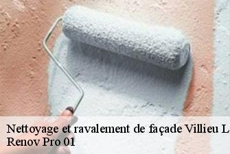 Nettoyage et ravalement de façade  villieu-loyes-mollon-01800 Renov Pro 01