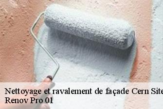 Nettoyage et ravalement de façade  cern-site-de-prevessin-01630 Renov Pro 01