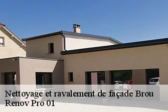 Nettoyage et ravalement de façade  brou-01000 Renov Pro 01
