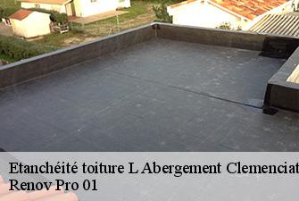 Etanchéité toiture  l-abergement-clemenciat-01400 Renov Pro 01