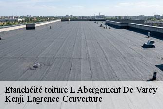 Etanchéité toiture l-abergement-de-varey-01640 Kenji Lagrenee Couverture