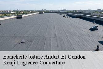 Etanchéité toiture andert-et-condon-01300 Kenji Lagrenee Couverture