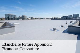 Etanchéité toiture  apremont-01100 Beaudier Couverture 