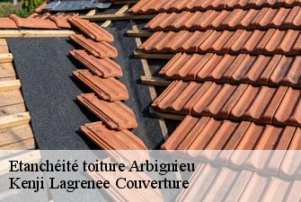 Etanchéité toiture arbignieu-01300 Kenji Lagrenee Couverture