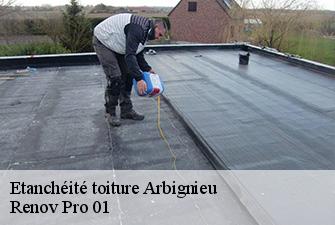 Etanchéité toiture  arbignieu-01300 Renov Pro 01