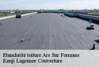 Etanchéité toiture ars-sur-formans-01480 Kenji Lagrenee Couverture