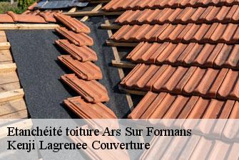 Etanchéité toiture ars-sur-formans-01480 Kenji Lagrenee Couverture