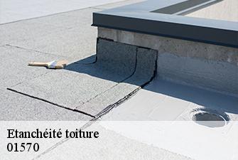 Etanchéité toiture  asnieres-sur-saone-01570 Beaudier Couverture 