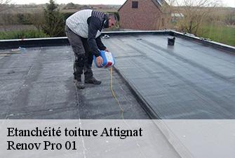 Etanchéité toiture  attignat-01340 Renov Pro 01