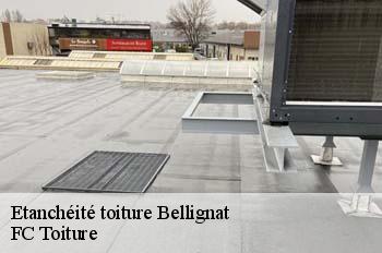 Etanchéité toiture  bellignat-01810 FC Toiture