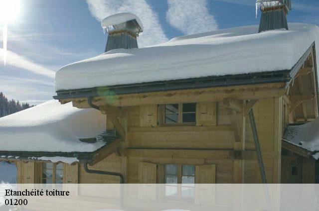 Etanchéité toiture  bellegarde-sur-valserine-01200 