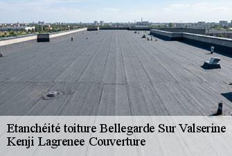 Etanchéité toiture  bellegarde-sur-valserine-01200 Kenji Lagrenee Couverture