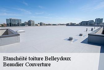 Etanchéité toiture  belleydoux-01130 Beaudier Couverture 
