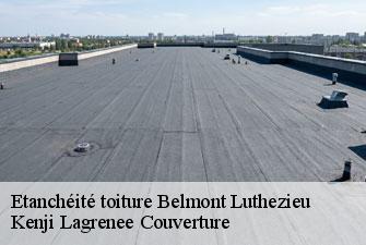 Etanchéité toiture  belmont-luthezieu-01260 Kenji Lagrenee Couverture