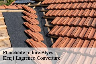 Etanchéité toiture  blyes-01150 Kenji Lagrenee Couverture
