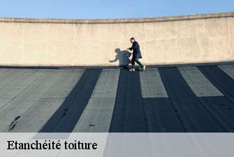 Etanchéité toiture boissey-01190 Kenji Lagrenee Couverture