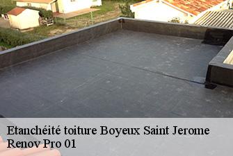 Etanchéité toiture  boyeux-saint-jerome-01640 Renov Pro 01