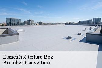 Etanchéité toiture  boz-01190 Beaudier Couverture 