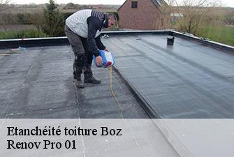 Etanchéité toiture  boz-01190 Renov Pro 01