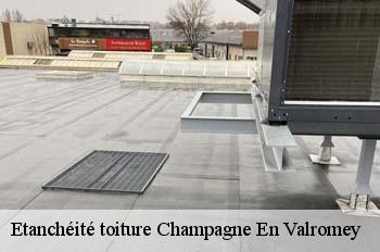 Etanchéité toiture  champagne-en-valromey-01260 