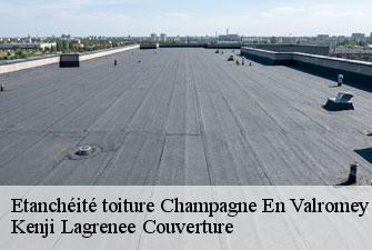 Etanchéité toiture champagne-en-valromey-01260 Kenji Lagrenee Couverture