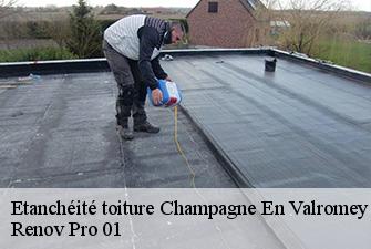 Etanchéité toiture  champagne-en-valromey-01260 Renov Pro 01