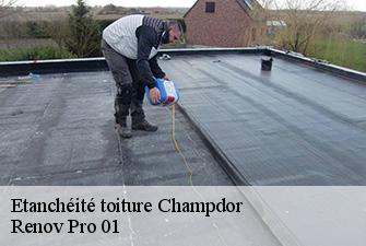 Etanchéité toiture  champdor-01110 Renov Pro 01