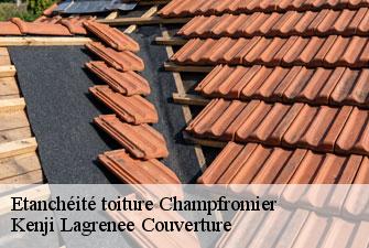 Etanchéité toiture champfromier-01410 Kenji Lagrenee Couverture
