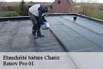 Etanchéité toiture  charix-01130 Renov Pro 01