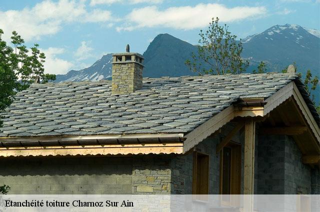 Etanchéité toiture  charnoz-sur-ain-01800 