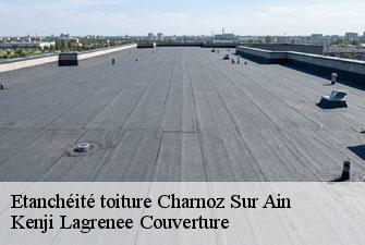 Etanchéité toiture charnoz-sur-ain-01800 Kenji Lagrenee Couverture