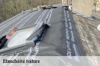 Etanchéité toiture  chateau-gaillard-01500 