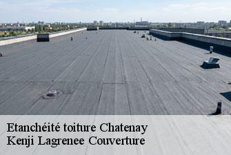 Etanchéité toiture chatenay-01320 Kenji Lagrenee Couverture