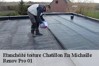 Etanchéité toiture  chatillon-en-michaille-01200 Renov Pro 01